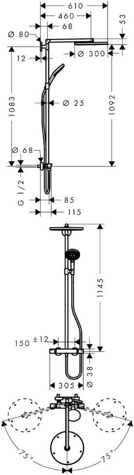 Sen cây Hansgrohe Raindance S300 | 27114000