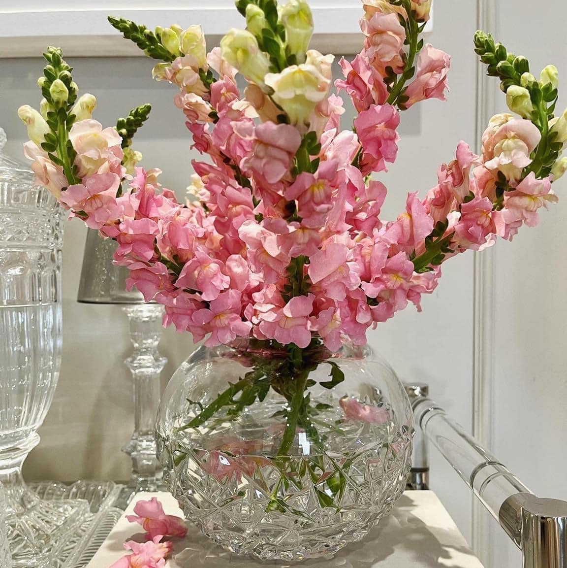 Lọ hoa cầu tròn pha lê Bohemia Sheffield 20.5cm