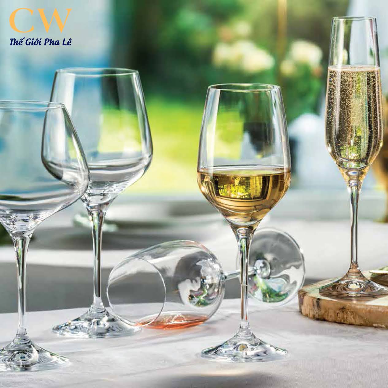 Ly rượu vang Bohemia Rebecca | 350ml