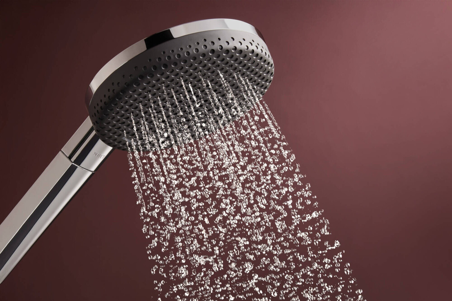 Sen tay Hansgrohe Raindance Alive Select S  125mm 3 tia | 24500000