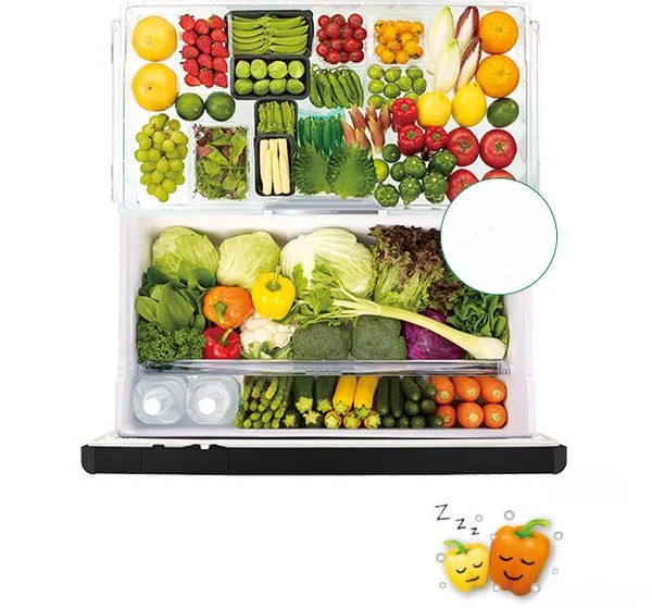 Tủ lạnh Hitachi Inverter 735L 6 cửa điện 220V | R-ZX740KV (X)