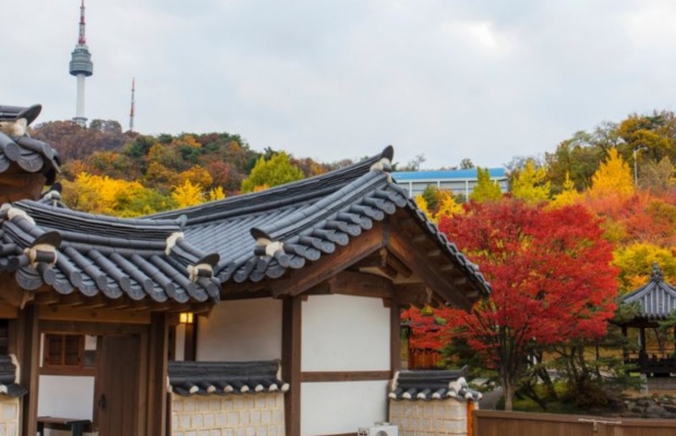 KHÁM PHÁ MÙA THU VÀNG “XỨ SỞ KIM CHI” HÀN QUỐC 2026: HÀ NỘI – SEOUL – NAMI – EVERLAND – HÁI TÁO