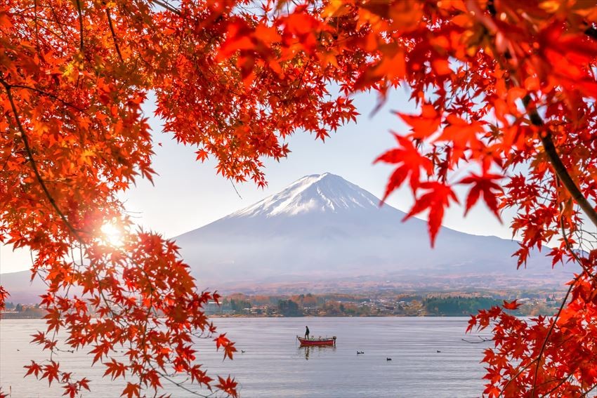 TOUR DU LỊCH NHẬT BẢN MÙA THU 2026: CUNG ĐƯỜNG VÀNG 6N5D (NARA – OSAKA – KYOTO – NAGOYA – PHÚ SĨ – TOKYO)