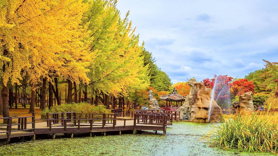KHÁM PHÁ MÙA THU VÀNG “XỨ SỞ KIM CHI” HÀN QUỐC 2026: HÀ NỘI – SEOUL – NAMI – EVERLAND – HÁI TÁO