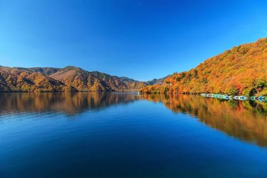 CHƯƠNG TRÌNH ĐẶC BIỆT NHẬT BẢN 2026: NÚI PHÚ SĨ – TOKYO CITY TOUR – NIKKO LÁ VÀNG LÁ ĐỎ