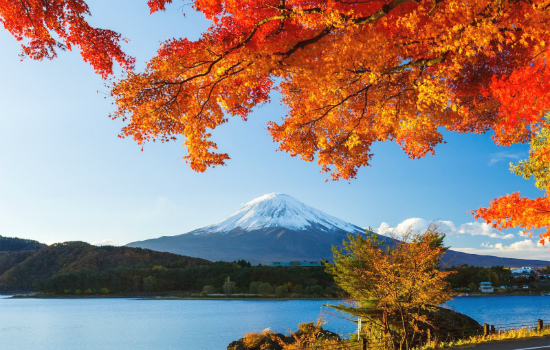 TOUR DU LỊCH NHẬT BẢN MÙA THU 2026: CUNG ĐƯỜNG VÀNG 6N5D (NARA – OSAKA – KYOTO – NAGOYA – PHÚ SĨ – TOKYO)