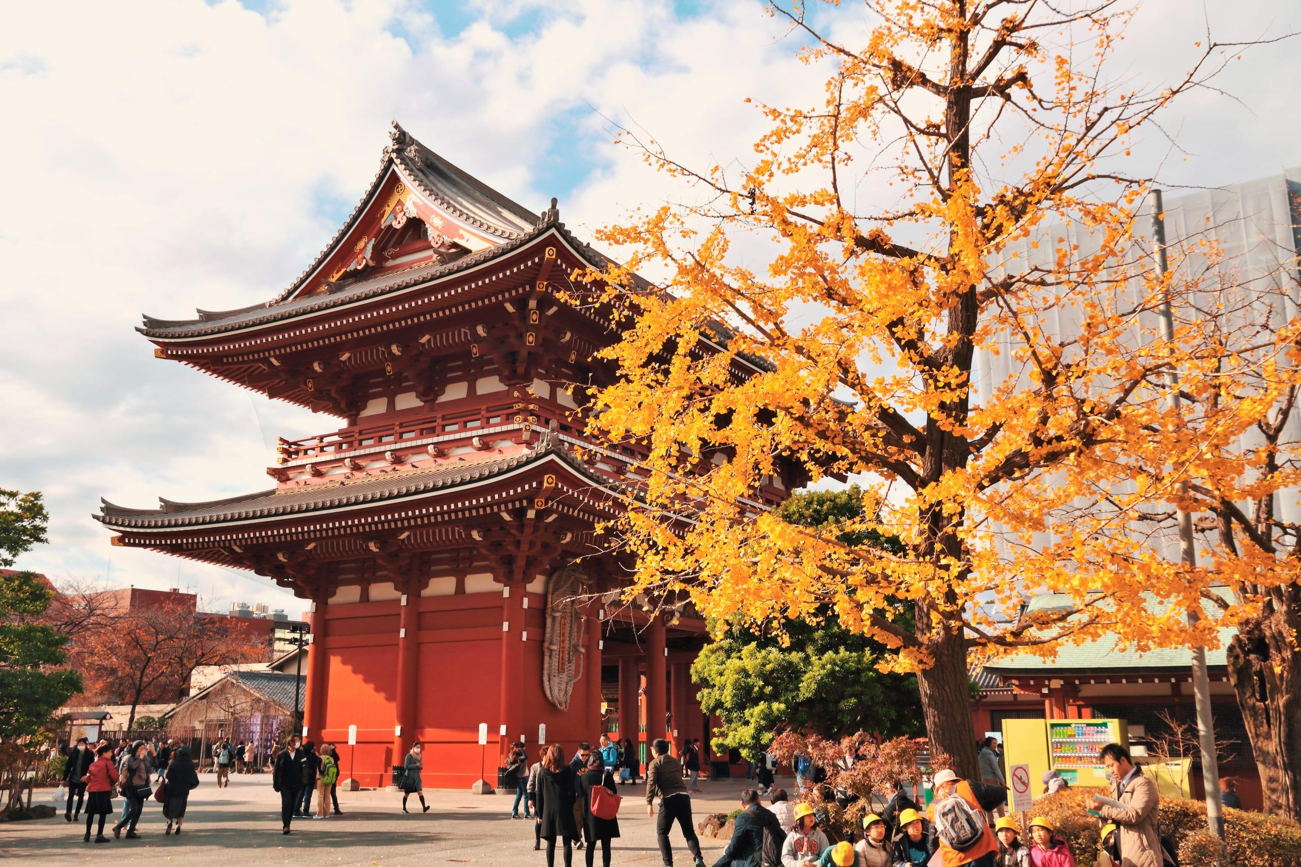 Tour Nhật Bản 5N4Đ Hà Nội – Núi Phú Sĩ – Tokyo | Vietnam Airlines