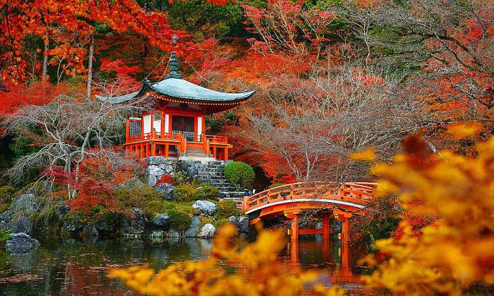 TOUR DU LỊCH NHẬT BẢN MÙA THU 2026: CUNG ĐƯỜNG VÀNG 6N5D (NARA – OSAKA – KYOTO – NAGOYA – PHÚ SĨ – TOKYO)