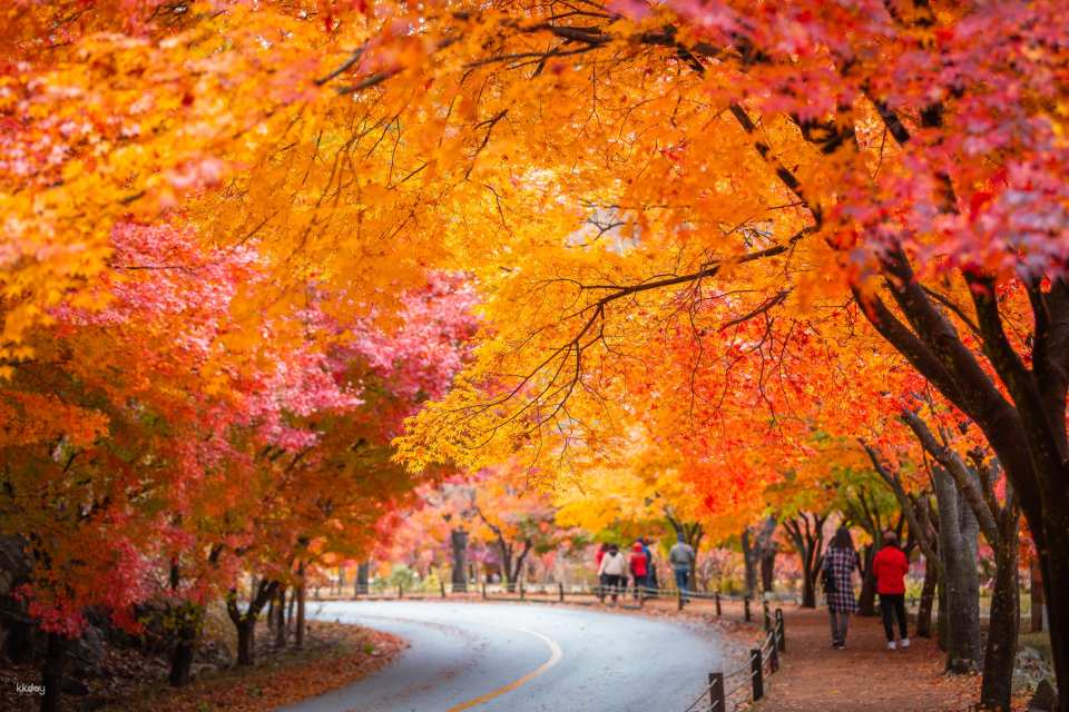 Tour Mùa Thu Hàn Quốc 2026: Hà Nội – Busan – Seoul – Đảo Nami – Incheon 6 Ngày 5 Đêm (Trải Nghiệm Tàu Cao Tốc KTX)
