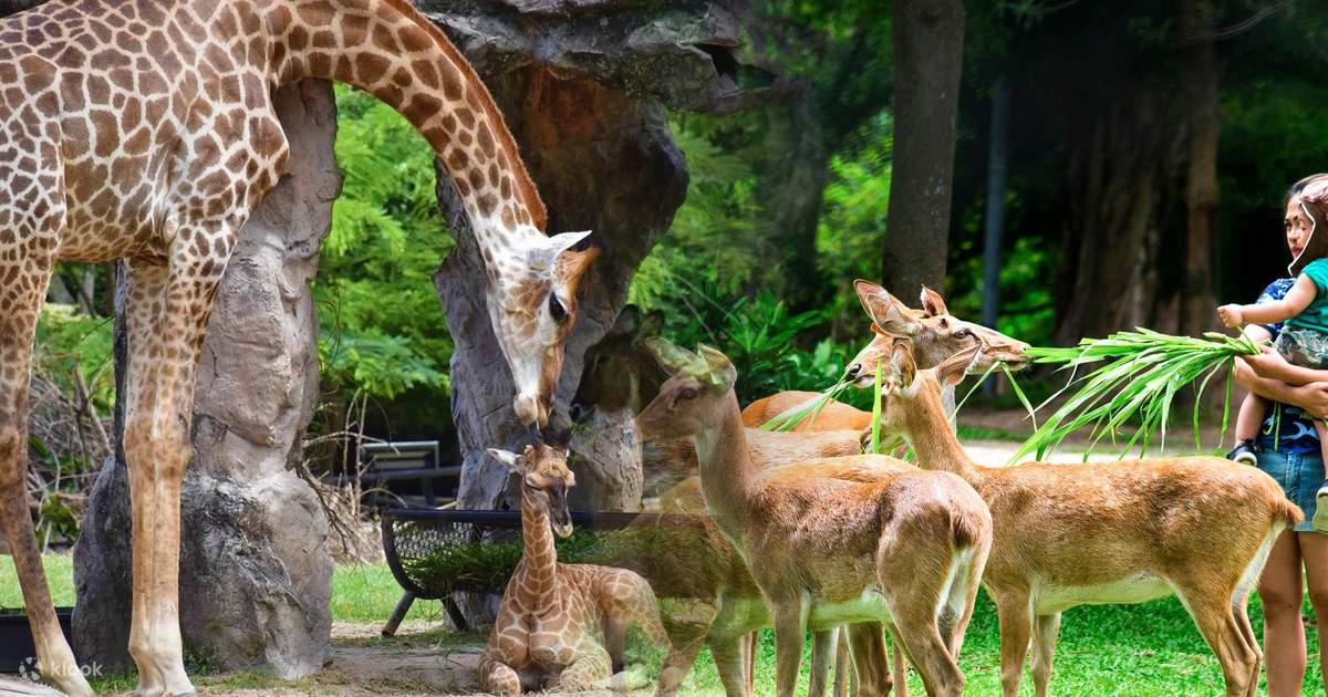 THÁI LAN 5 SAO – 5 NGÀY 4 ĐÊM