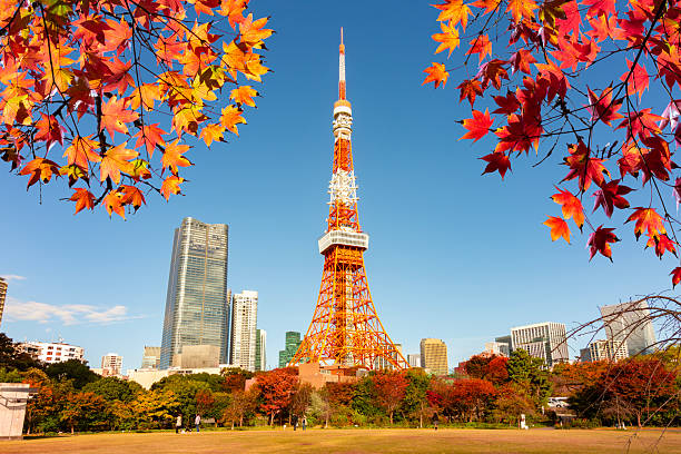 TOUR DU LỊCH NHẬT BẢN MÙA THU 2026: CUNG ĐƯỜNG VÀNG 6N5D (KOBE – OSAKA – KYOTO – NAGOYA – PHÚ SĨ – TOKYO)