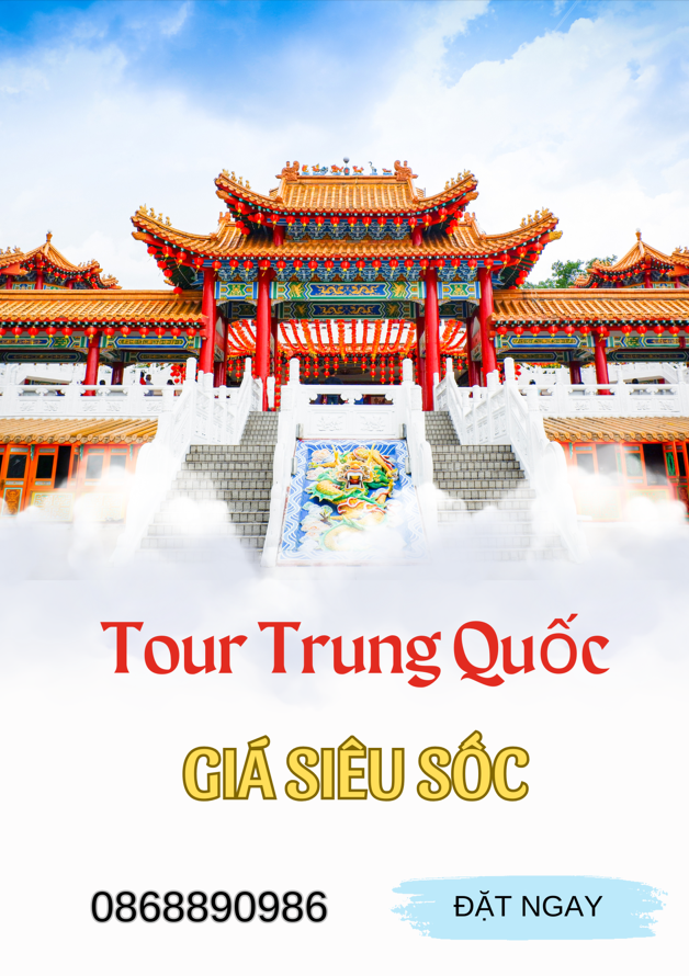 S8 Travel