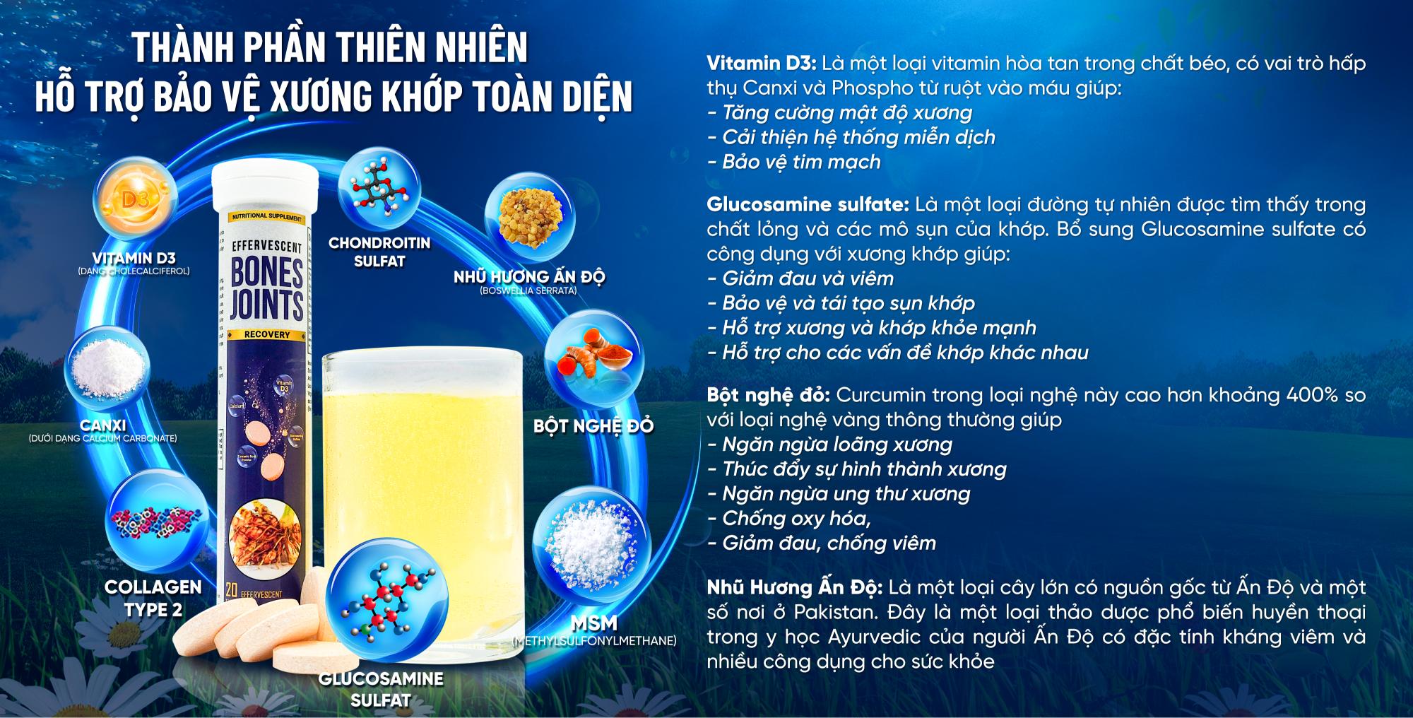 THÀNH PHẦN THIÊN NHIÊN<br/>HỖ TRỢ BẢO VỆ XƯƠNG KHỚP TOÀN DIỆN