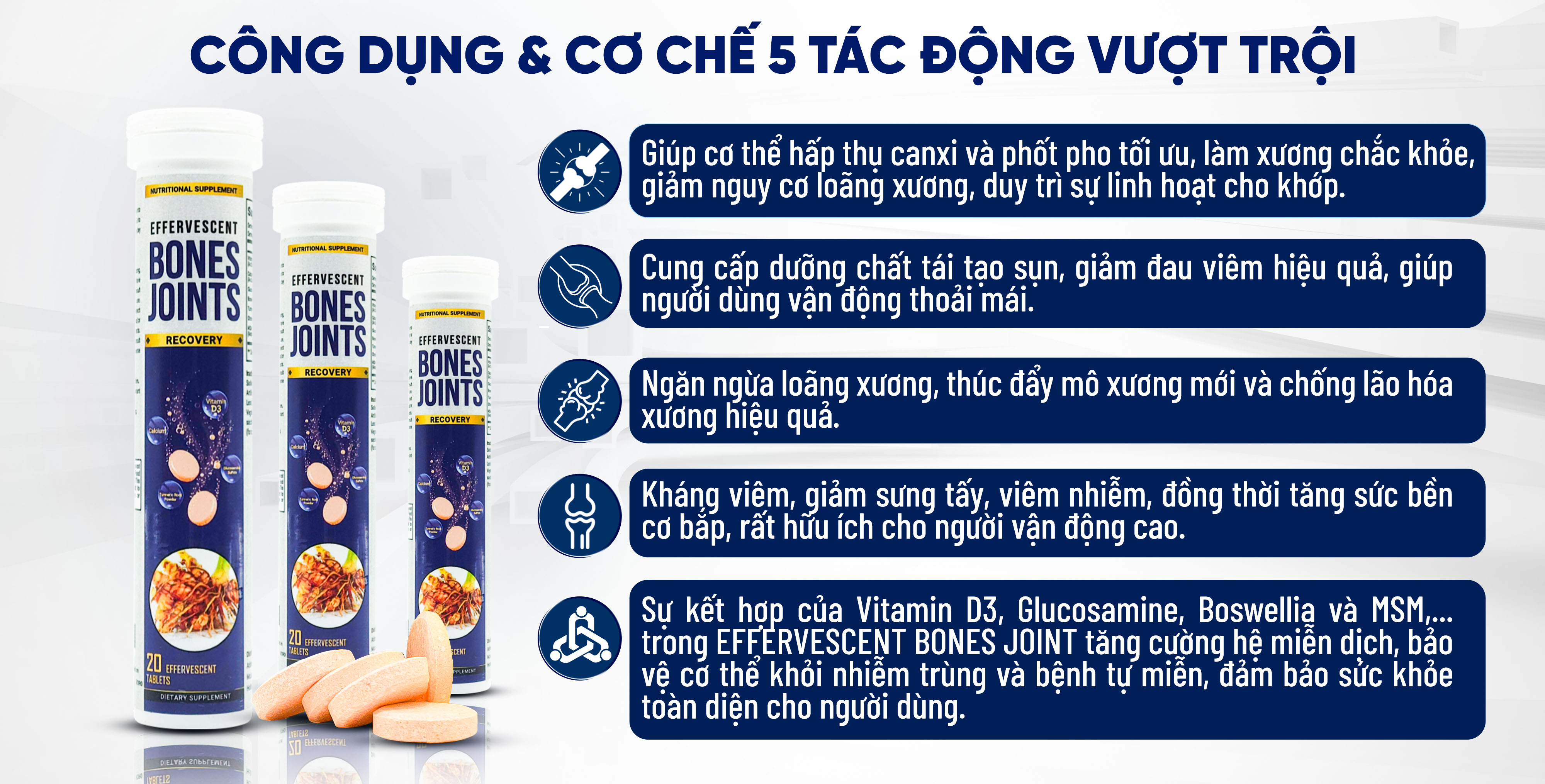 THÀNH PHẦN THIÊN NHIÊN<br/>HỖ TRỢ BẢO VỆ XƯƠNG KHỚP TOÀN DIỆN