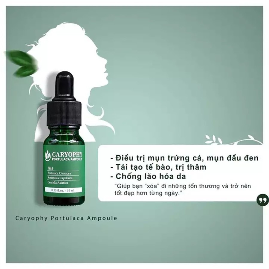 SERUM CARYOPHY PORTULACA AMPOULE