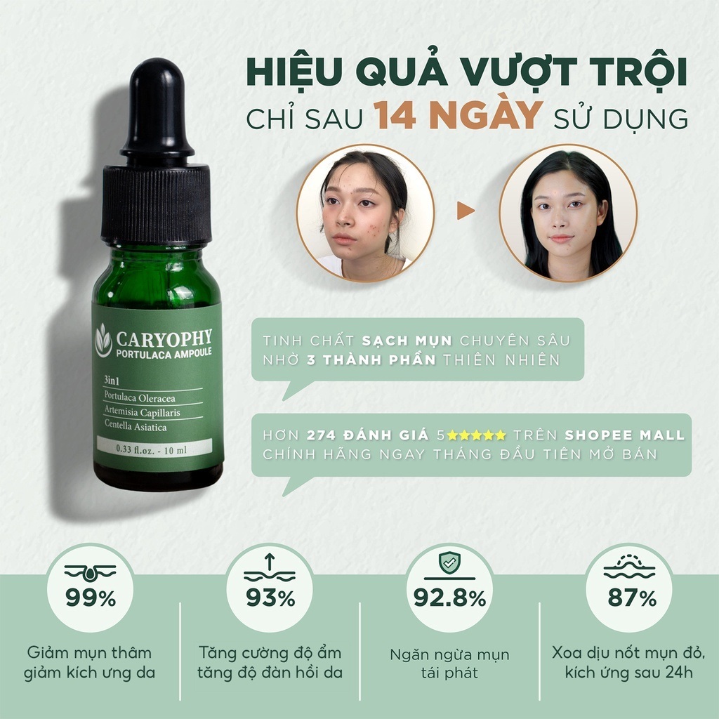 SERUM CARYOPHY PORTULACA AMPOULE