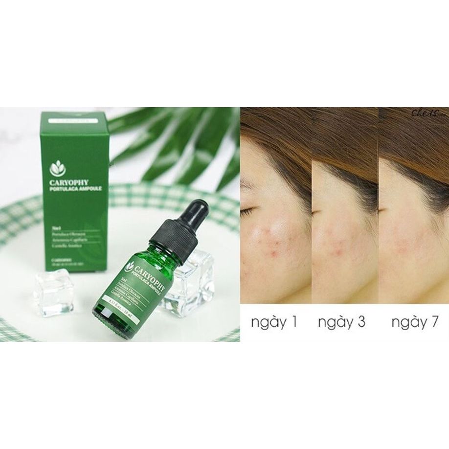 SERUM CARYOPHY PORTULACA AMPOULE