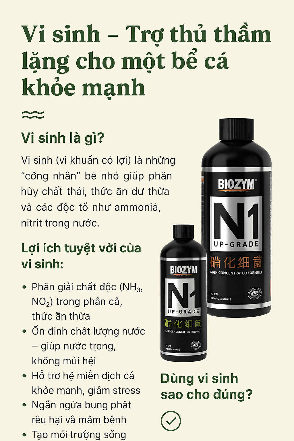 💧 Vi sinh – Trợ thủ thầm lặng cho một bể cá khỏe mạnh 🐟