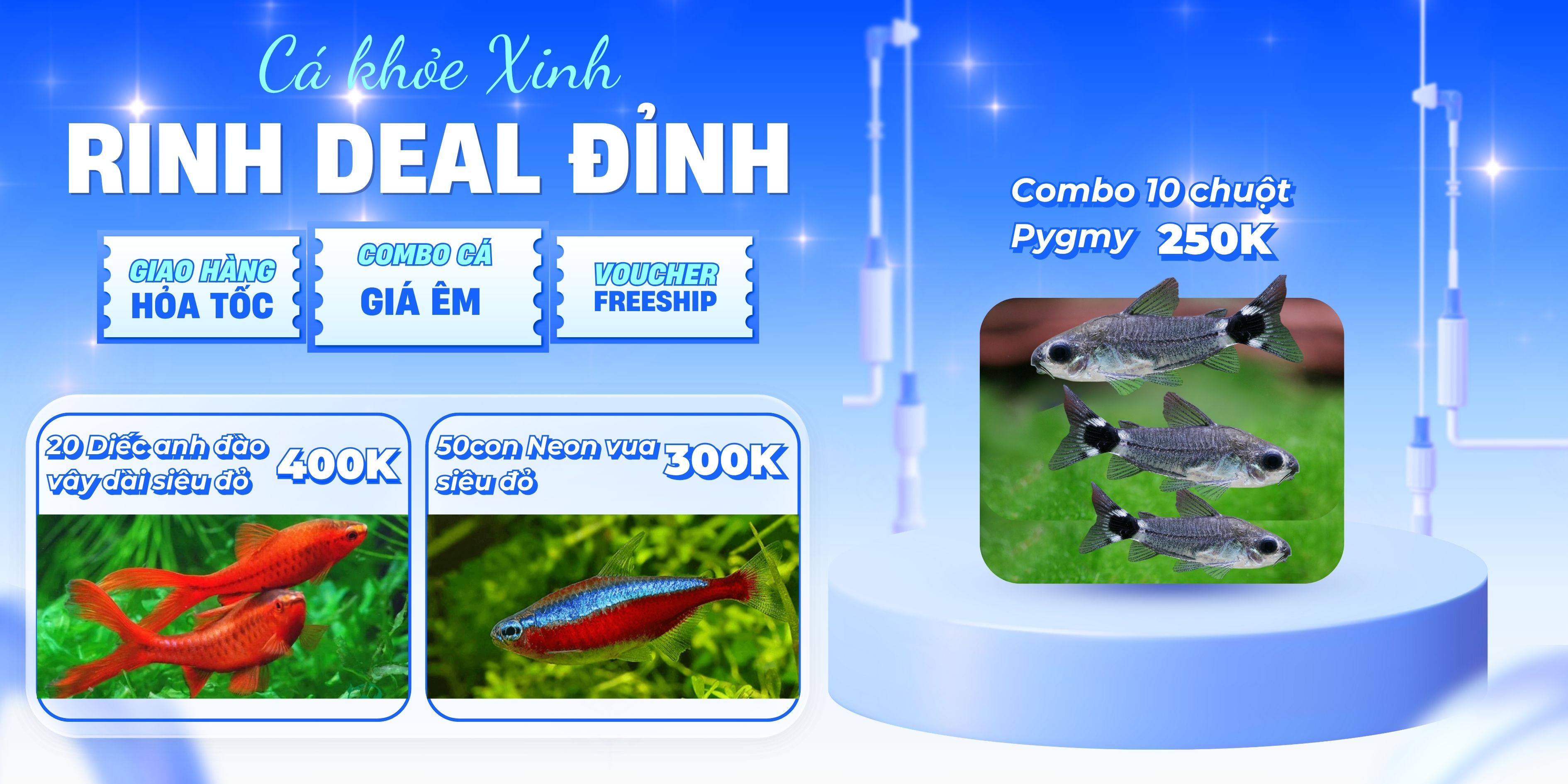 Combo Siêu Hời