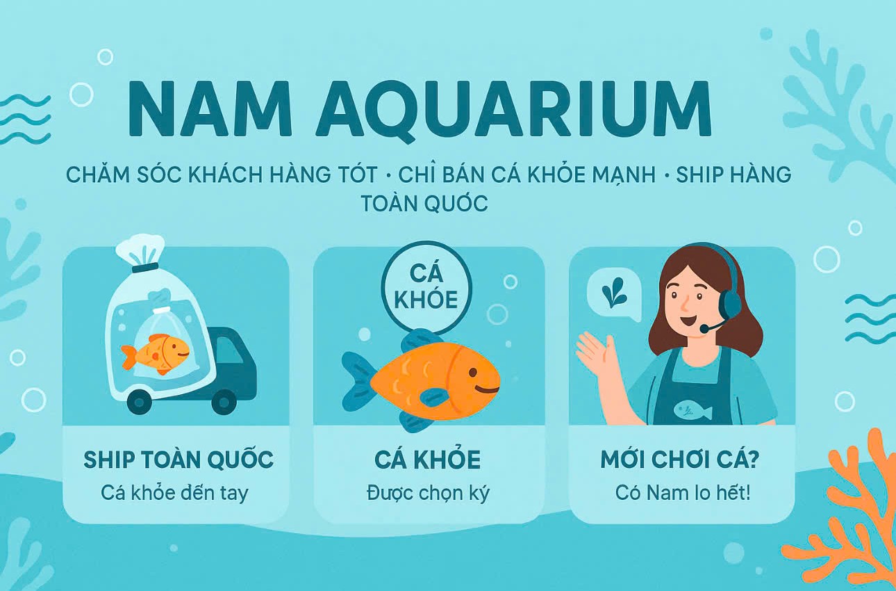 Sở hữu son siêu xịn đến từ thương hiệu Uni