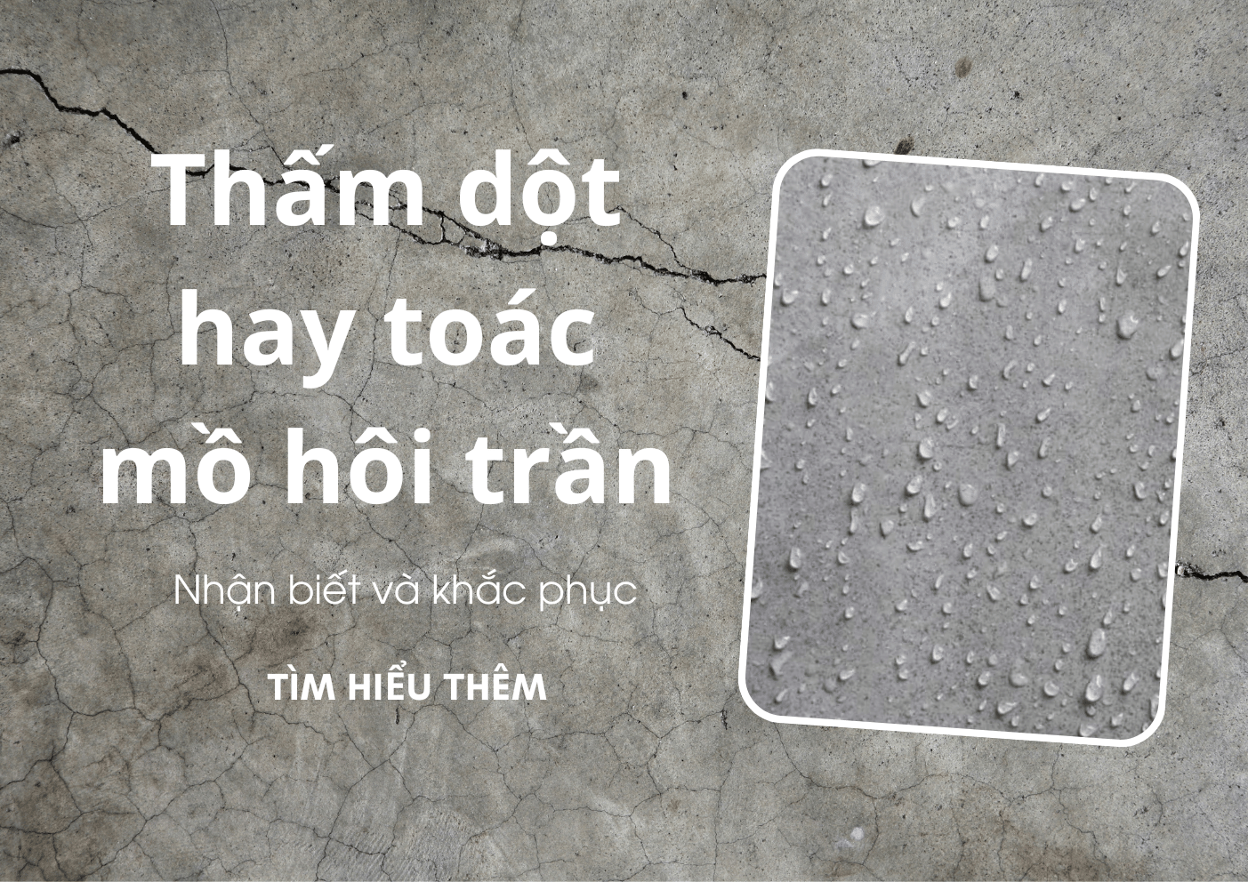 Thấm Dột Hay Toát Mồ Hôi Trần? Cách Nhận Biết Và Xử Lý Hiệu Quả Khi Sàn Bê Tông Mới Thi Công