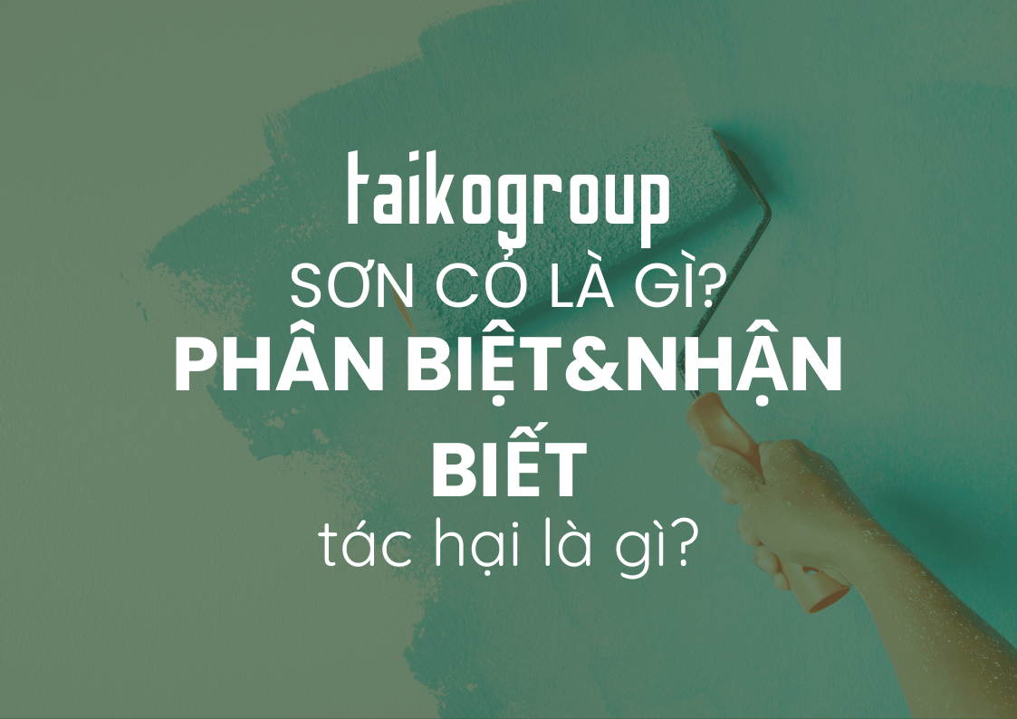 Sơn Cỏ Là Gì? Cách Nhận Biết Và Tác Hại Khi Dùng Sơn Giá Rẻ
