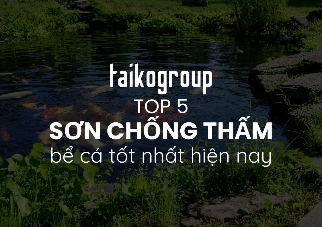 Top 5 Sơn Chống Thấm Hồ Cá Tốt Nhất Năm 2025 (Cập Nhật Mới Nhất)