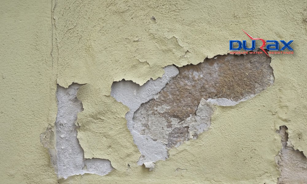 Cách Xử Lý Tường Ẩm Mốc Triệt Để Không Tái Phát Sau Khi Sơn
