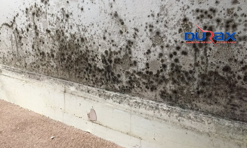 Tường Cũ Có Nên Sơn Lại Hay Phải Xử Lý Nền Trước Khi Sơn?