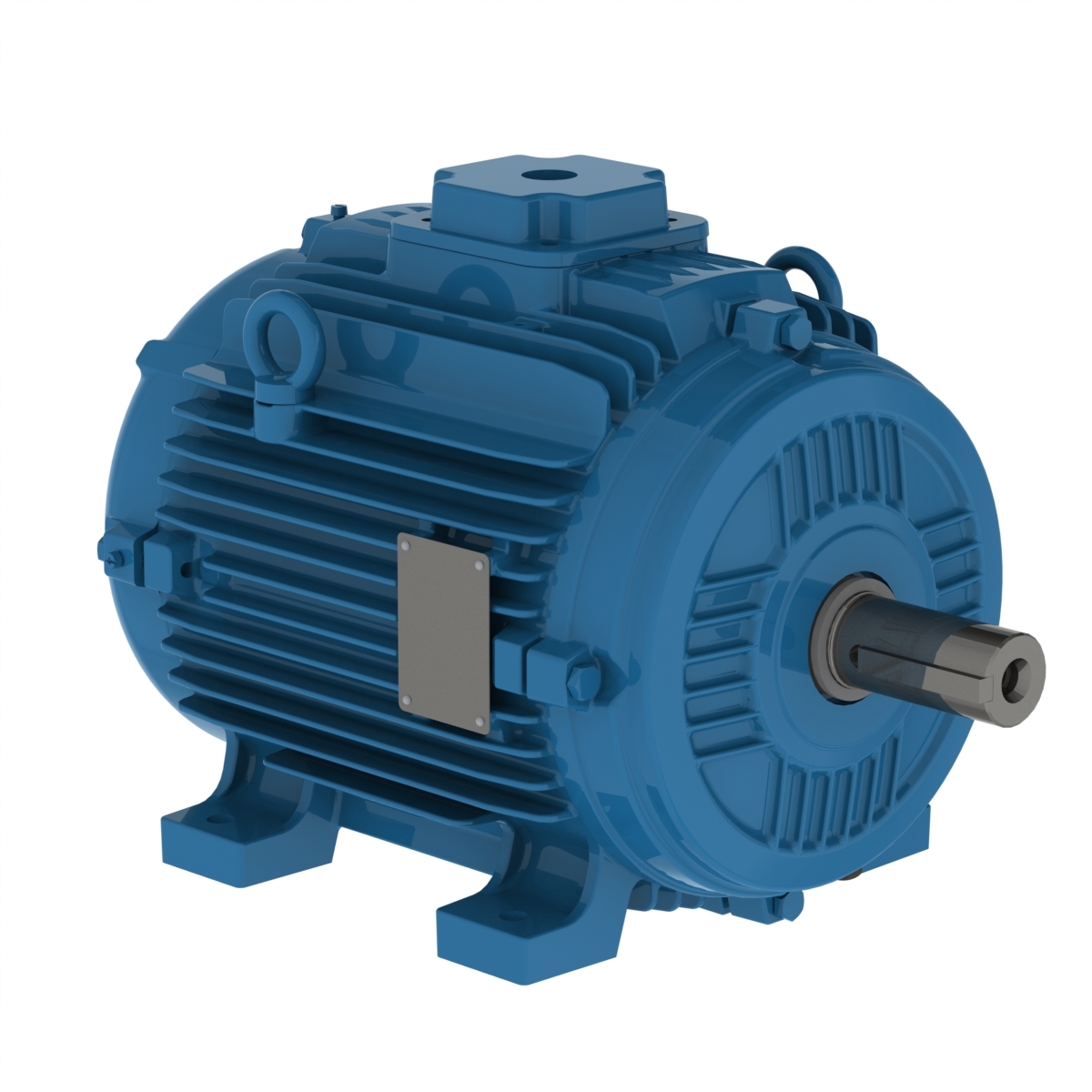 Động cơ IEC Hạ Thế 3 Pha W21_Cast Iron TEAO