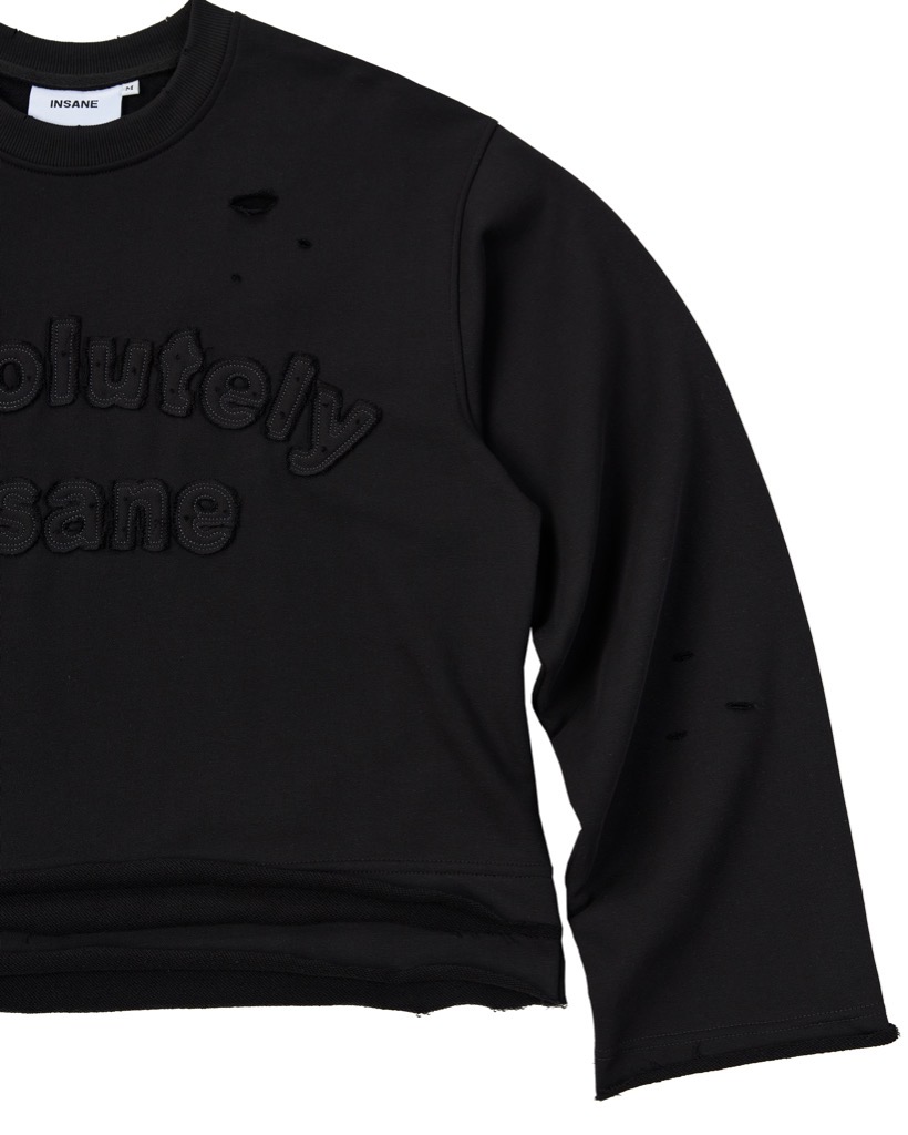Insane® Absolutely LongSleeve - Black