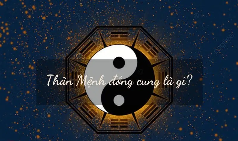 THÂN MỆNH (VƯỢNG/NHUỢC) LÀ GÌ ? GIÁ TRỊ ỨNG DỤNG CHO TỚI NGÀY NAY NHƯ THẾ NÀO ?