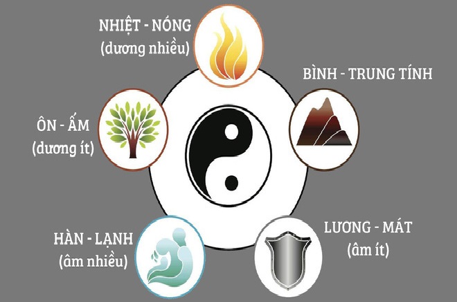 🌿 TÍNH LÀ GÌ ? – 4 LOẠI CHÍNH CỦA “TÍNH” TRONG ĐÔNG Y
