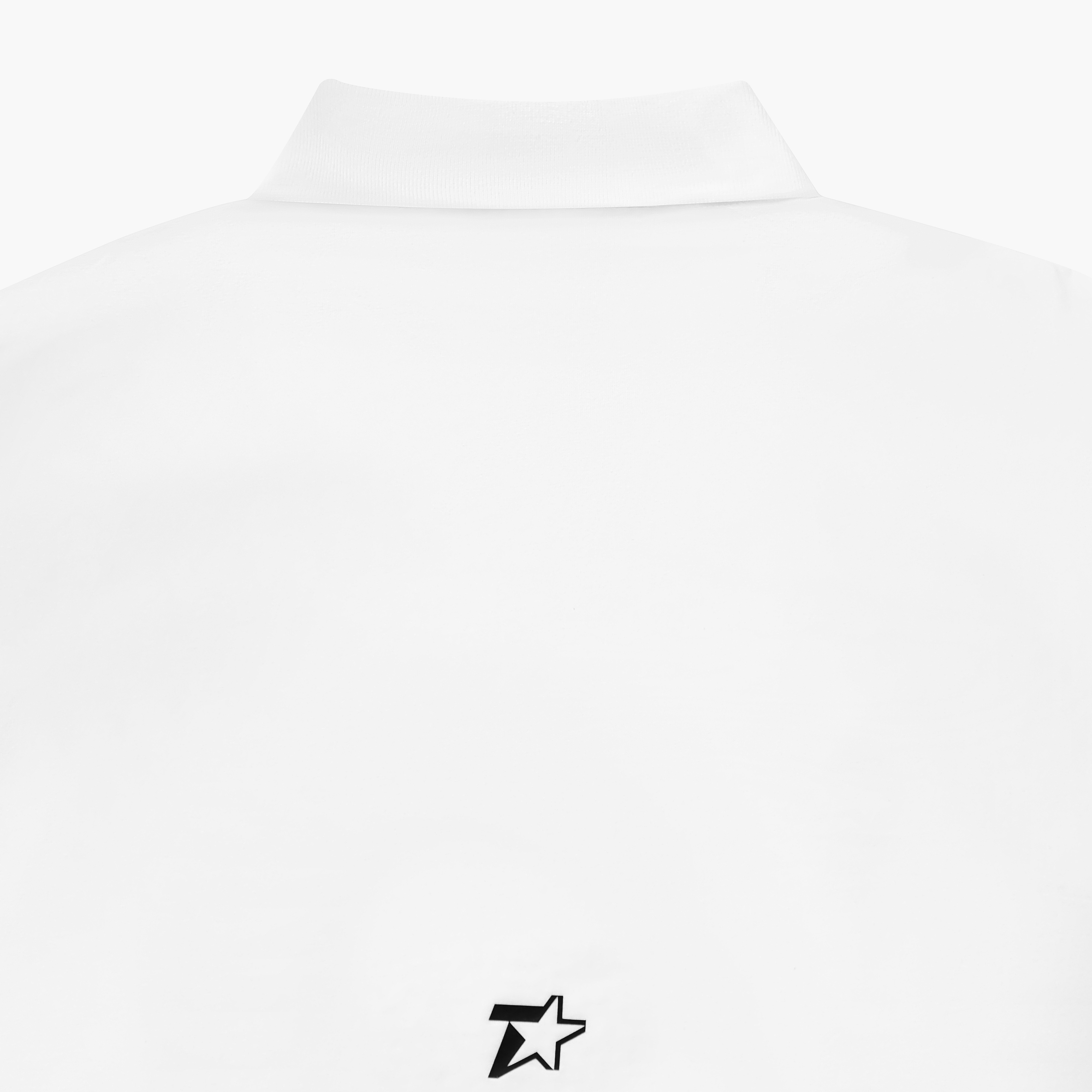 Áo Polo Local Brand Unisex Teelab Basic Multi Color AP072