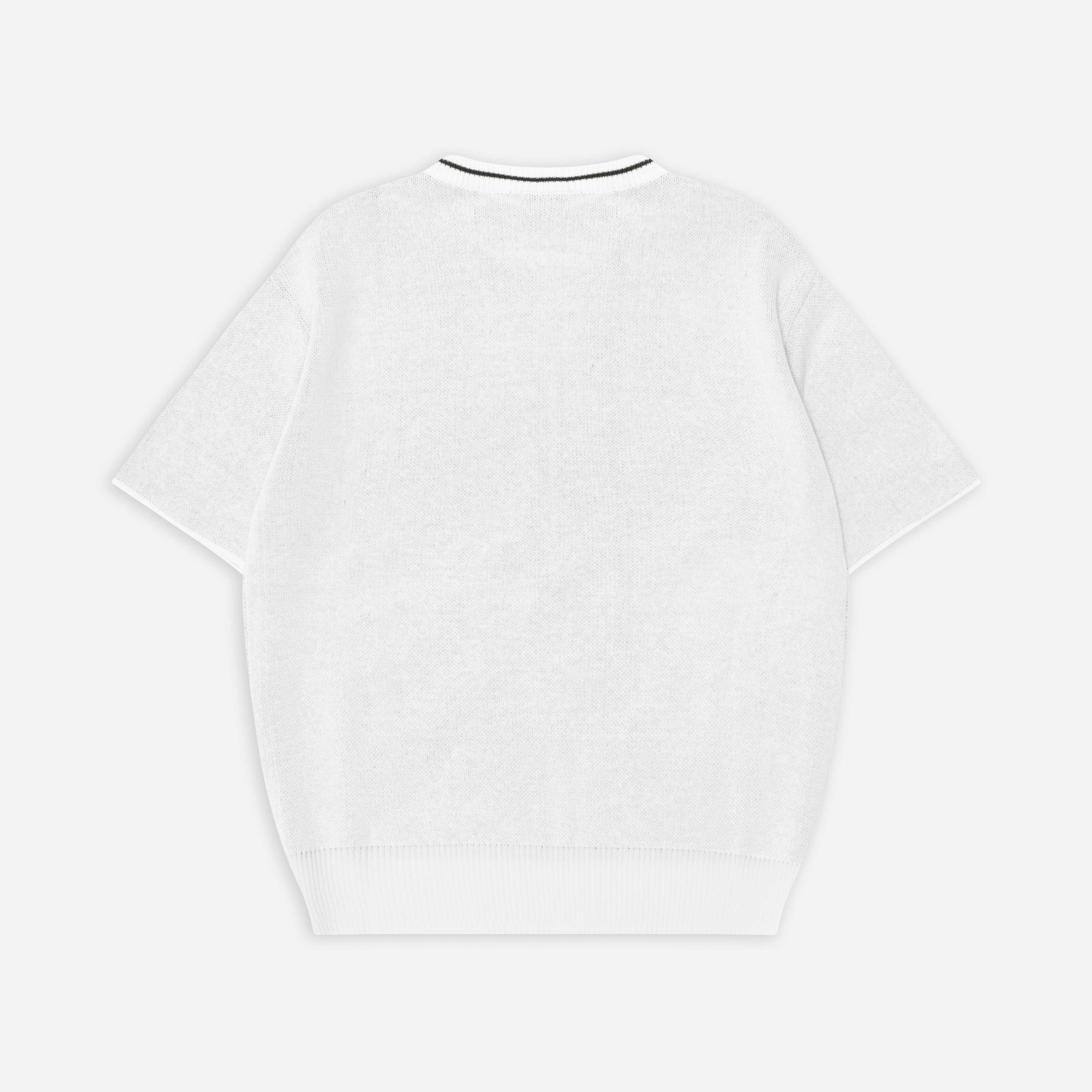 Áo Thun Local Brand Unisex Teelab Crest Knit TS351