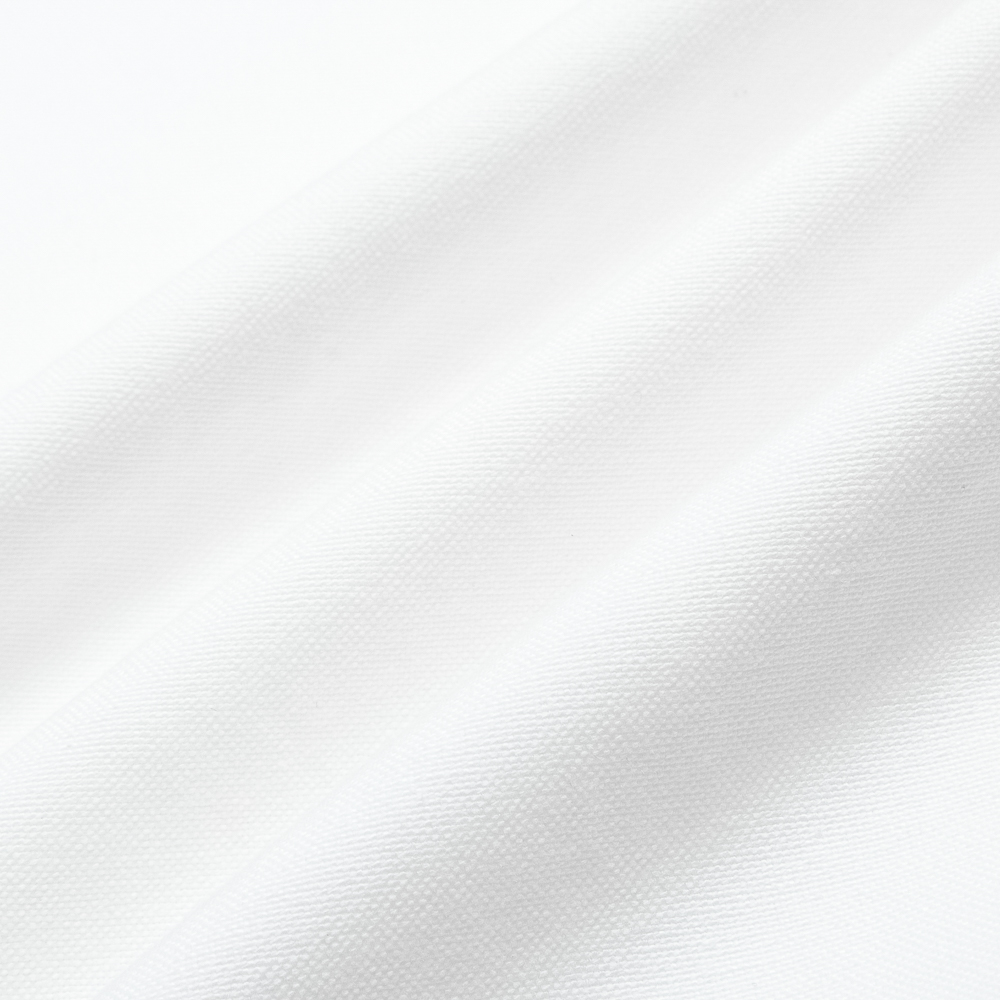 Áo Sơ Mi Dài Tay Teelab Local Brand Unisex Oxford shirts SS066