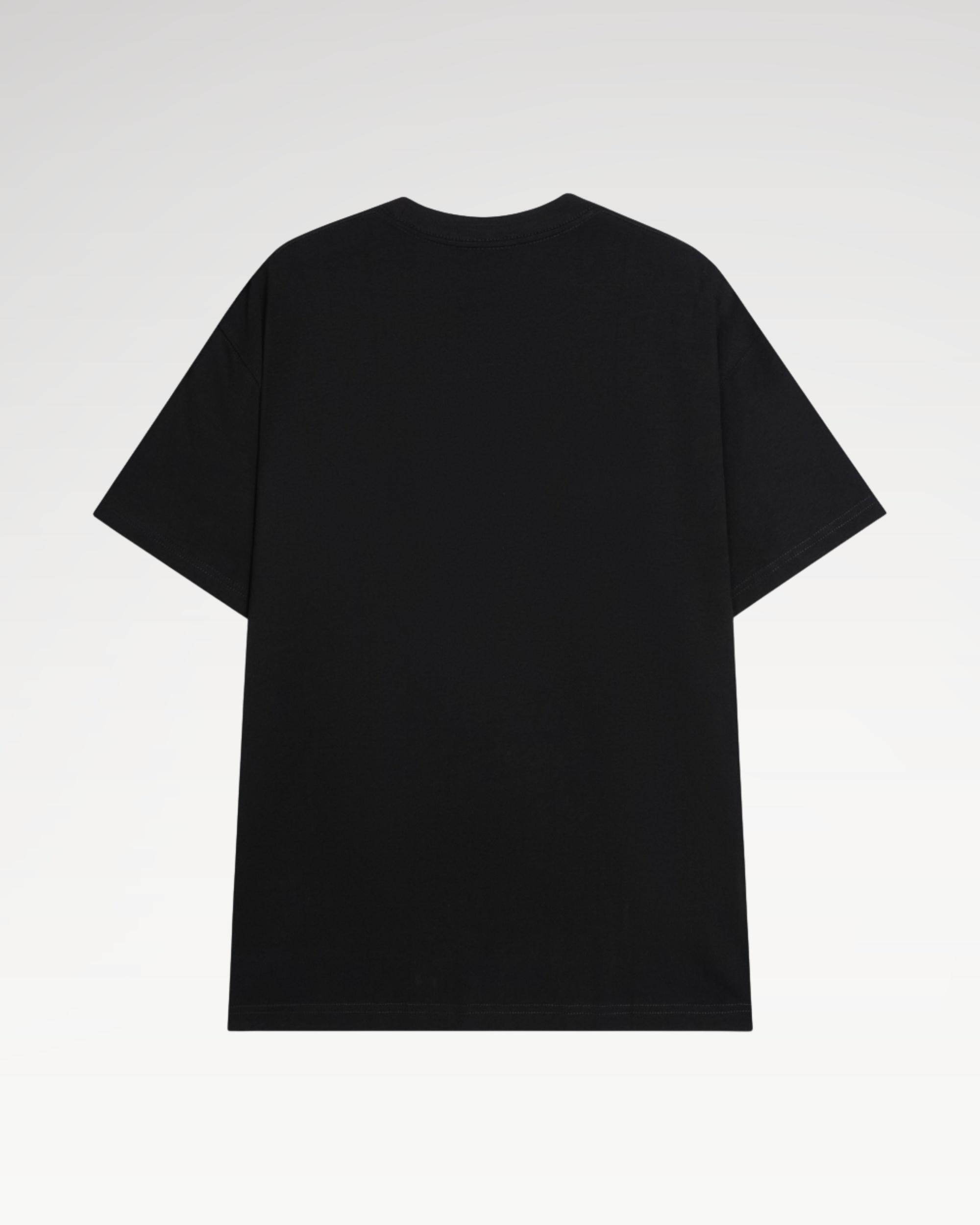 Áo Thun Teelab Local Brand Unisex Slow Sunday Tshirt TS270