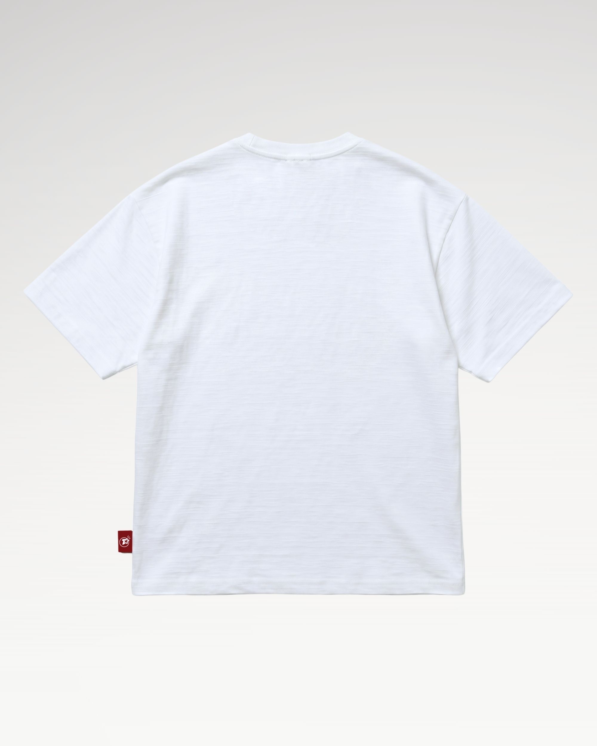[TẶNG TÚI TI-STAR] Teelab Alter Oversized Slub-Cotton Seagull Tee TS413