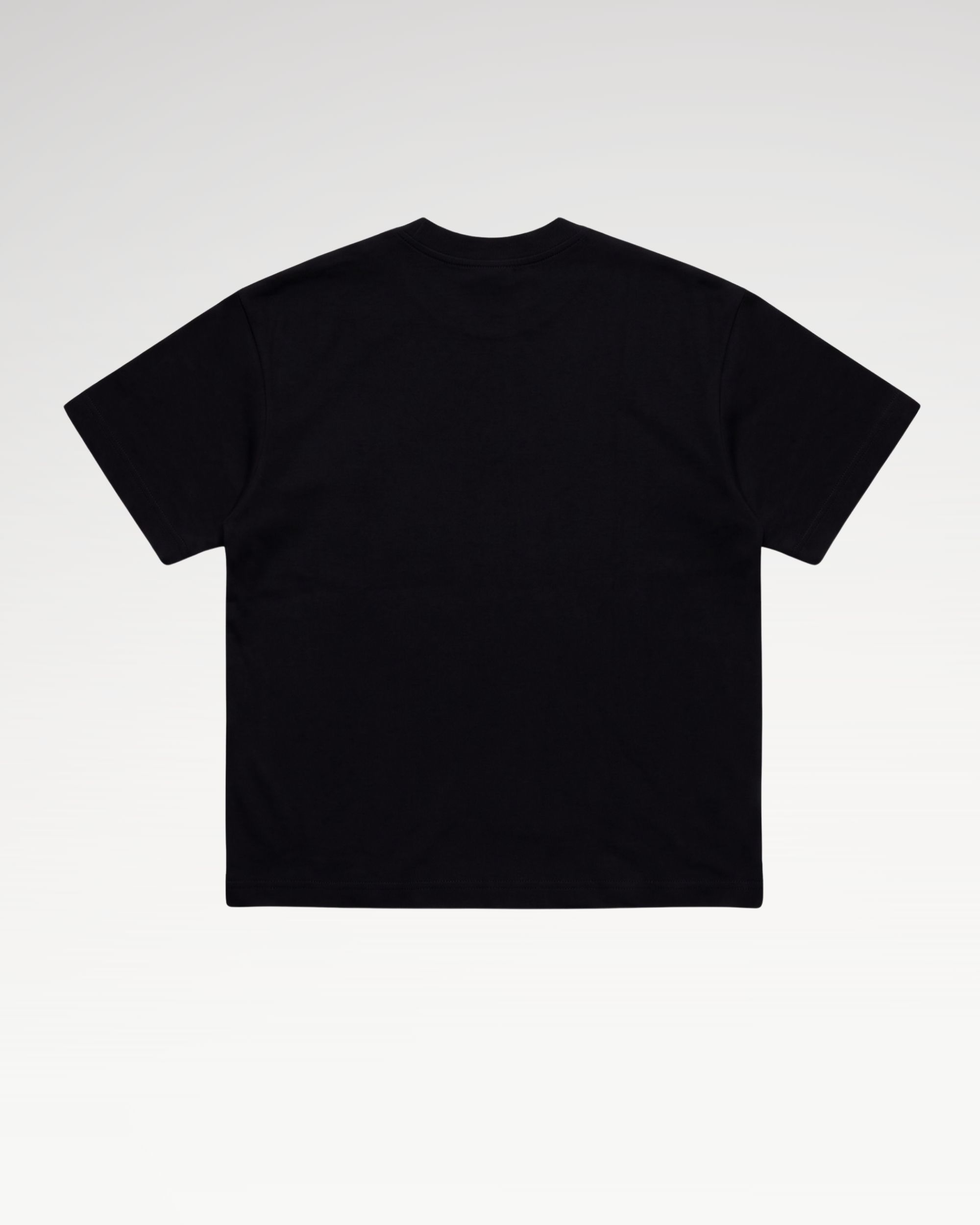 Teelab Alter Tokyo Boxy Cotton Tower Tee TS443