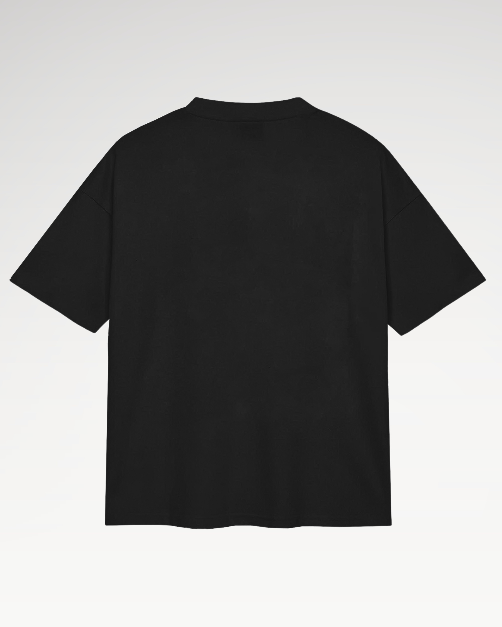 Áo Thun Teelab Alter Regular Fit Cotton 250GSM Trơn Unisex TS382