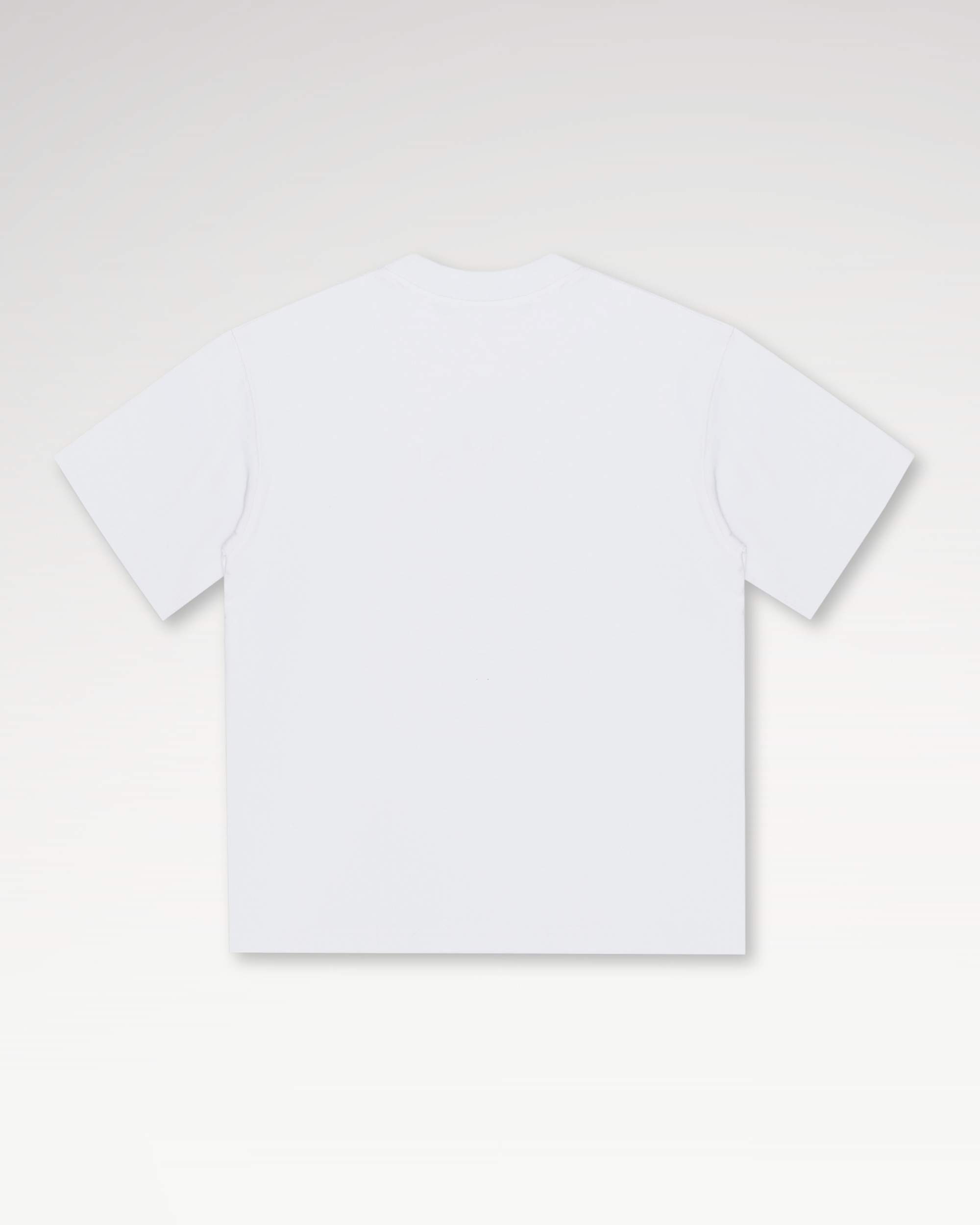 Áo Thun Teelab Alter Oversize Cotton In Lụa World Tour Check Unisex TS364