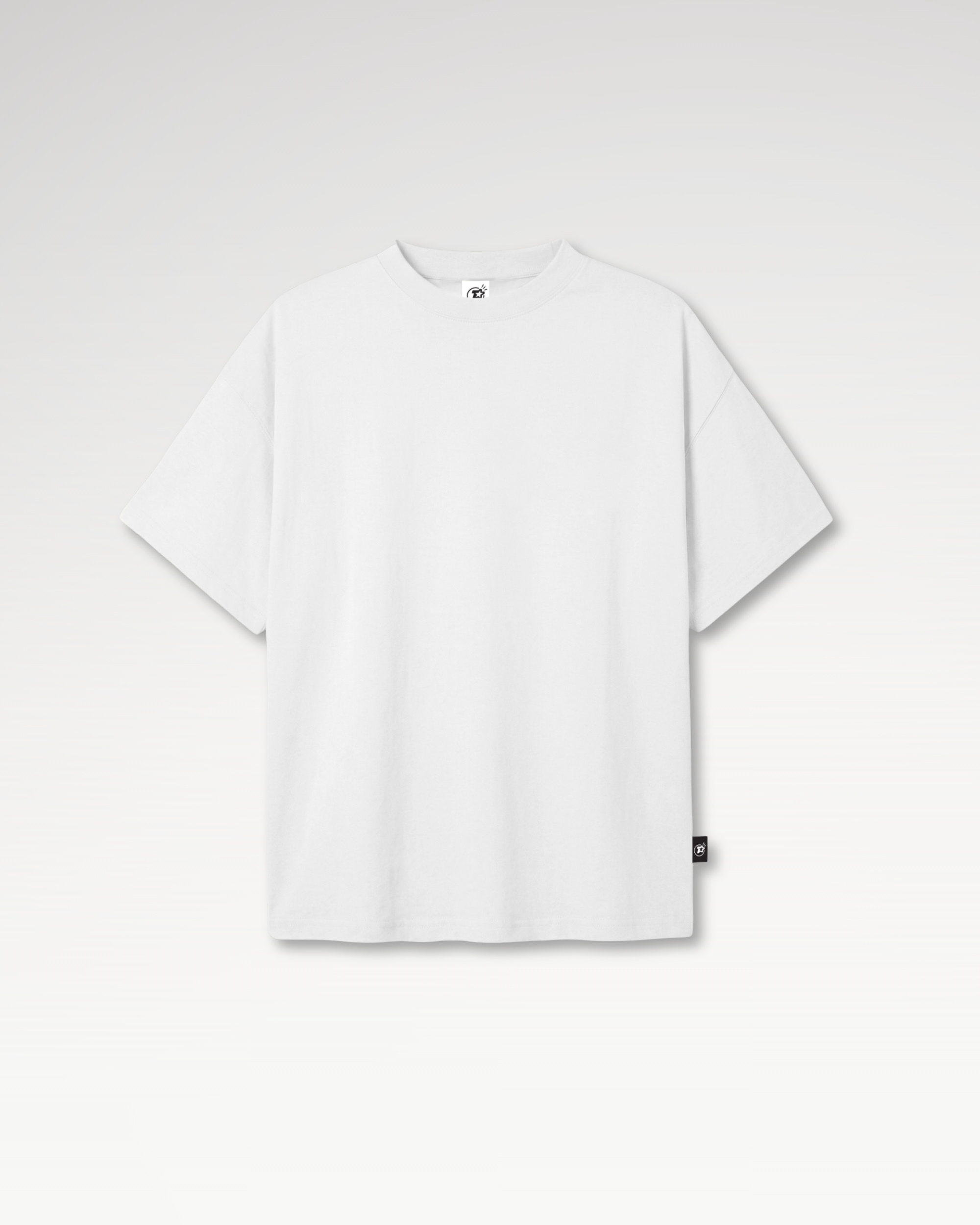 Áo Thun Teelab Alter Oversize Cotton 250GSM Trơn Unisex TS382