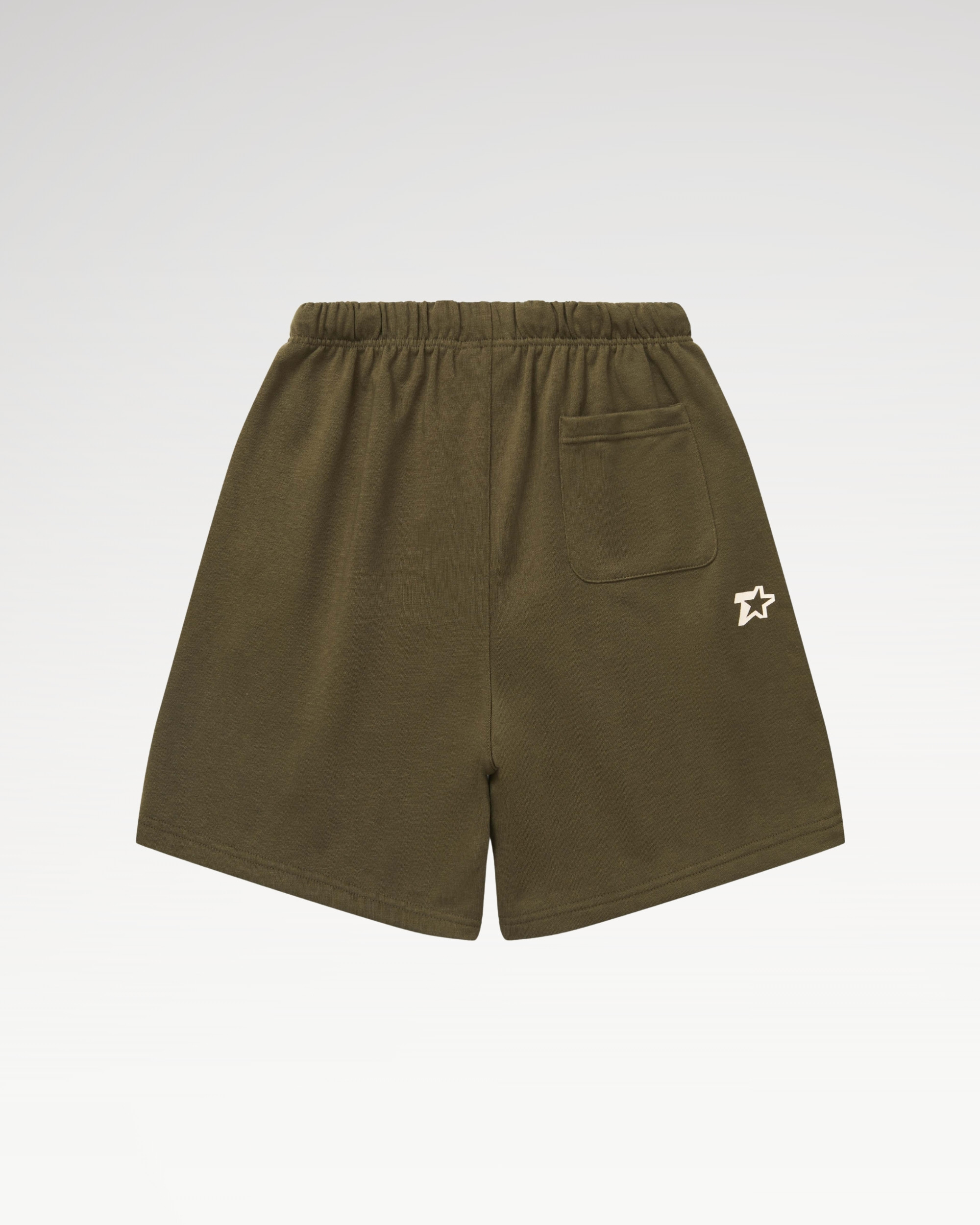 Quần Shorts Local Brand Unisex Teelab Basic Multi Colors PS119