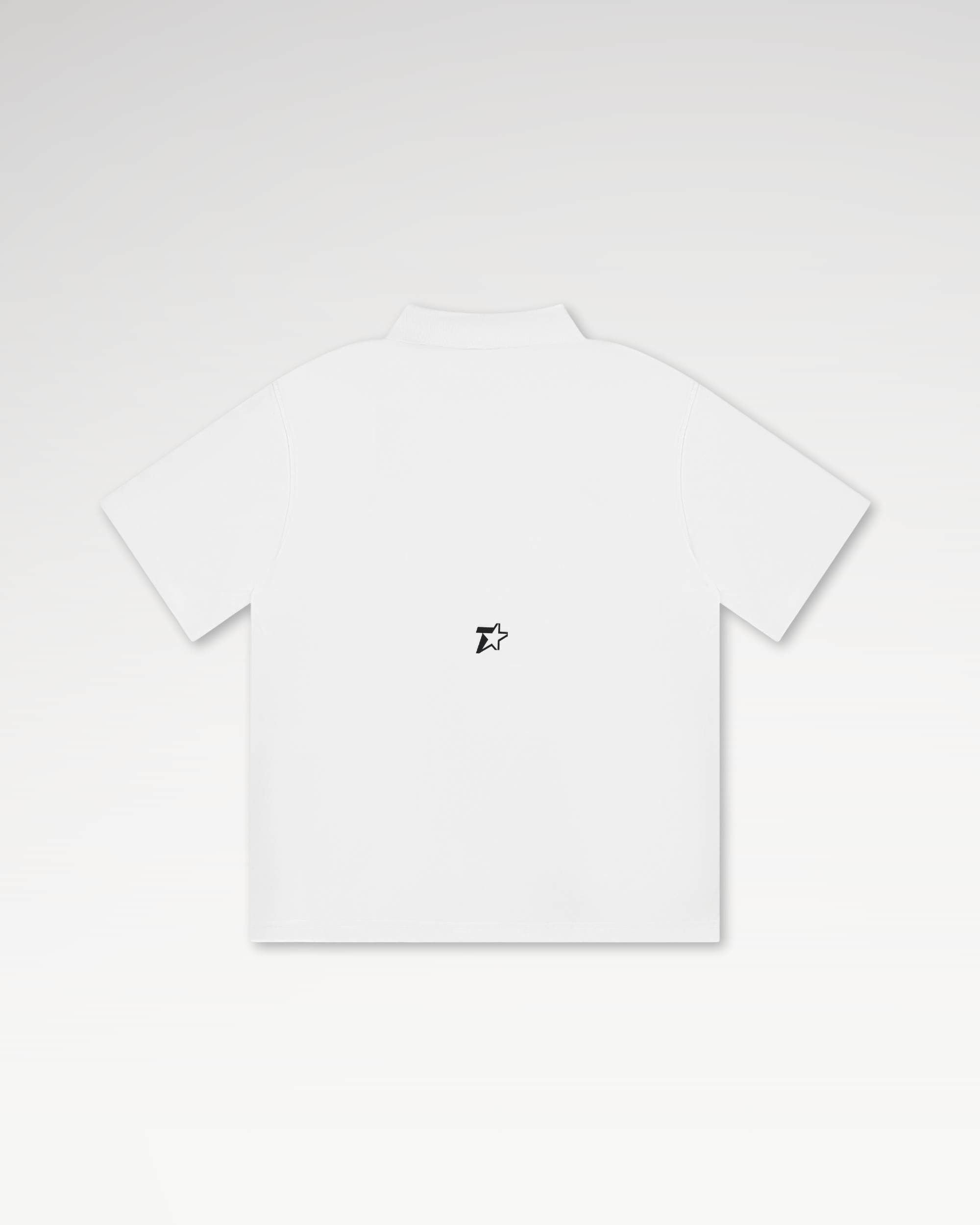 Áo Polo Local Brand Unisex Teelab Basic Multi Color AP072