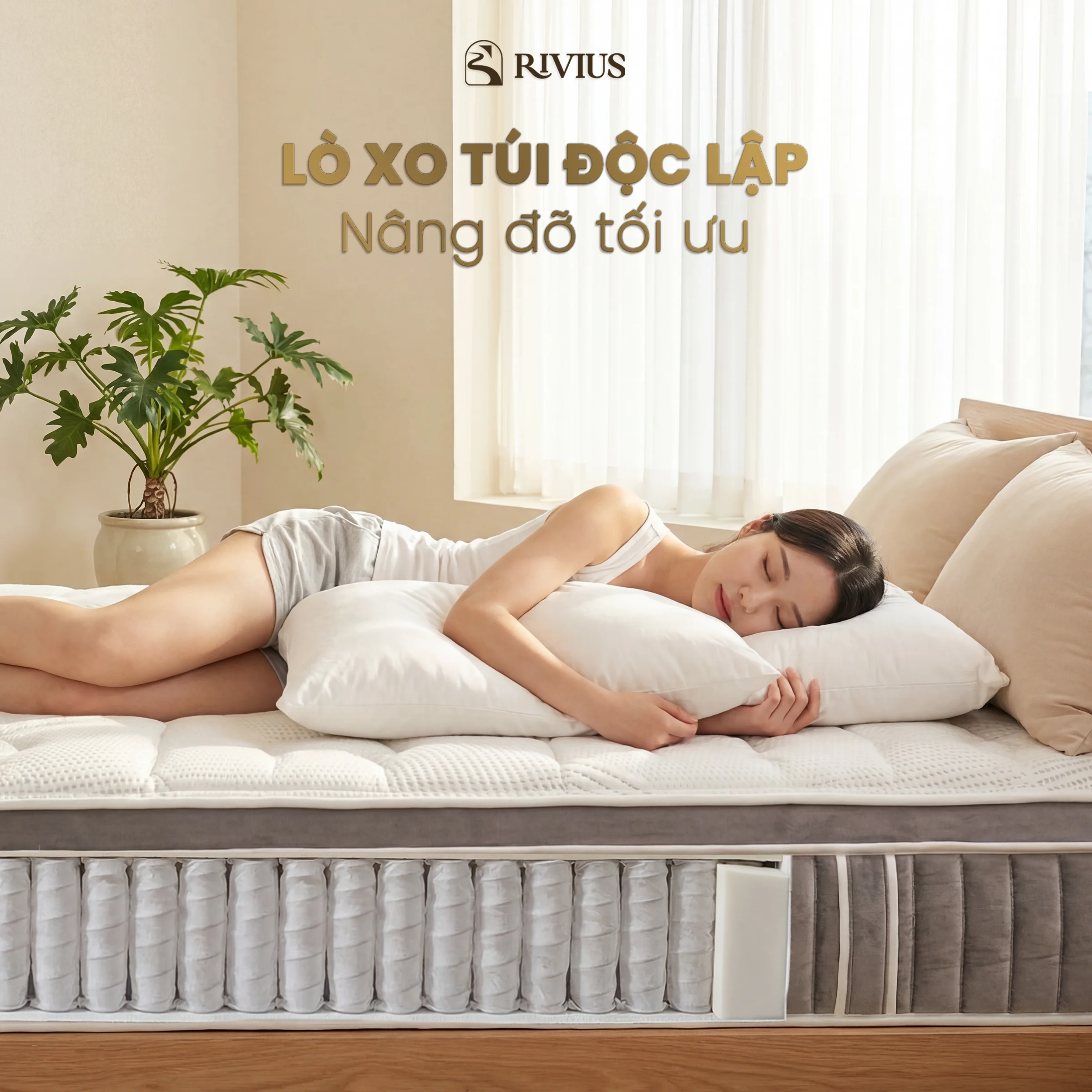 Hệ lò xo túi độc lập