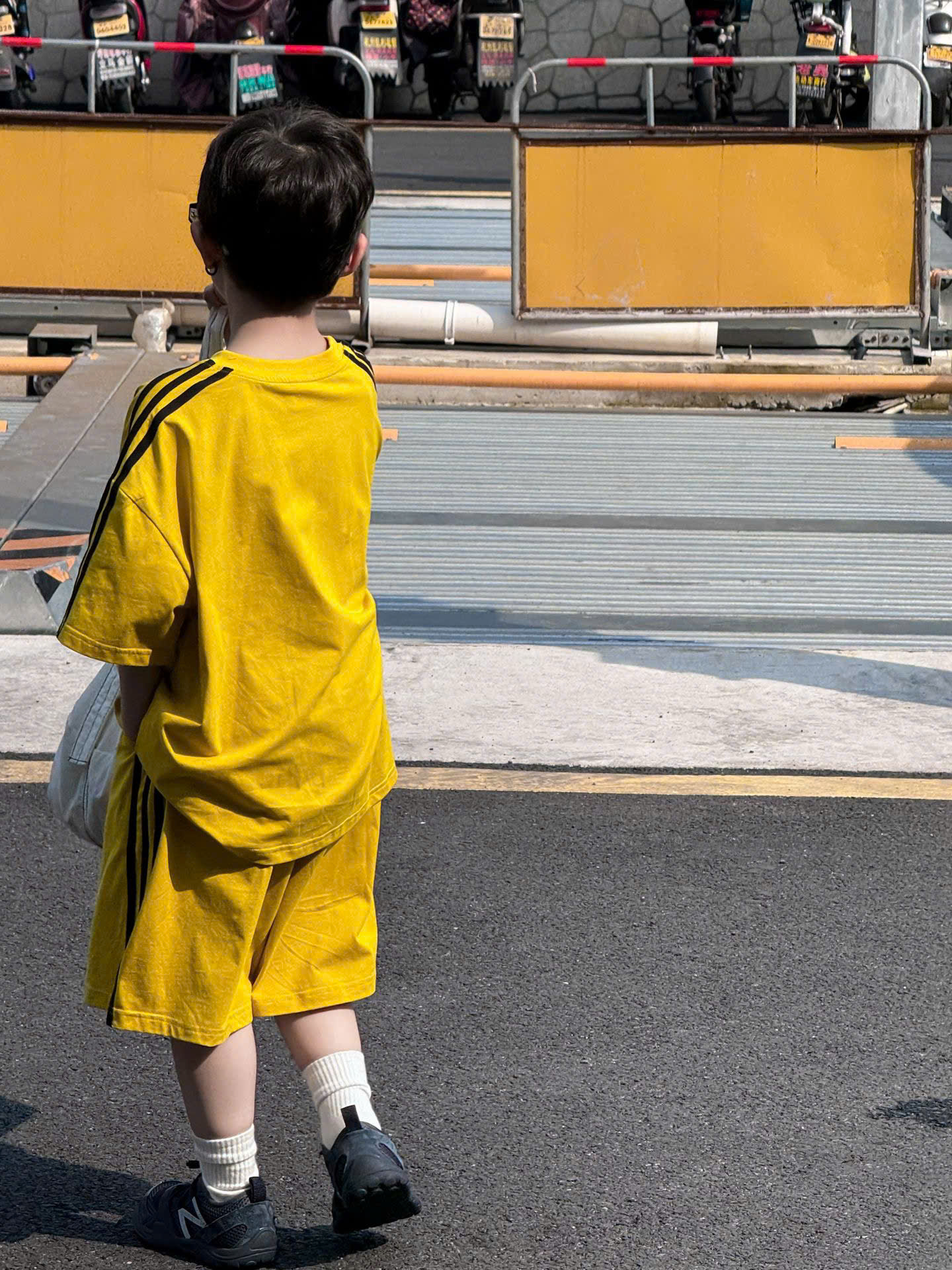 SN Vàng Sọc Đen PL