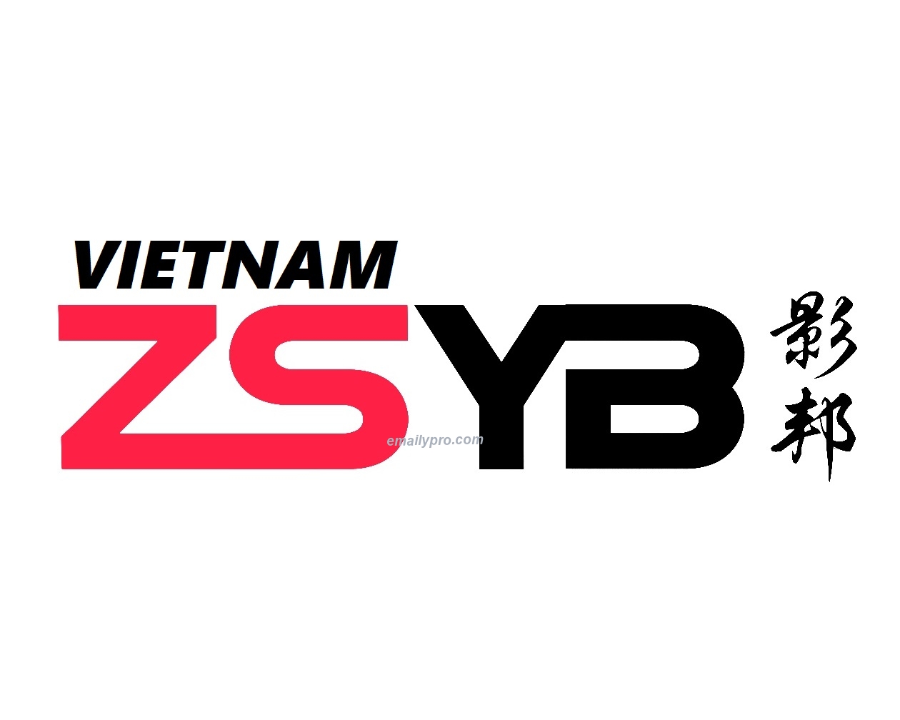 ZSYB Ra Mắt Đại Diện Tại Việt Nam: Tương Lai Tươi Sáng Cho Thị Trường