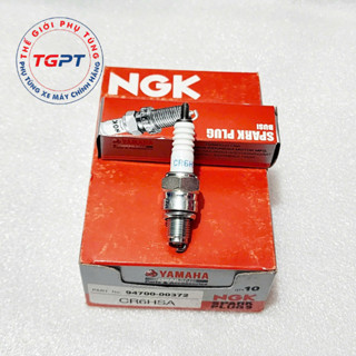 Bugi xe Janus, xe Sirus fi, xe Jupiter fi, xe Grande CR6HSA