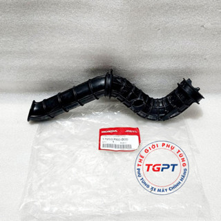 Co pô e dài Vario 125, AB 125 / 17253-K60-B00