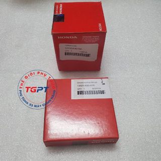 Bộ Piston bạc xe Vario 150 (2015-2022) /13101-K36-T00/13011-K59-A70/13102-K36-T00/13021-K59-A70/13103-K36-T00/ 13031-K59-A70